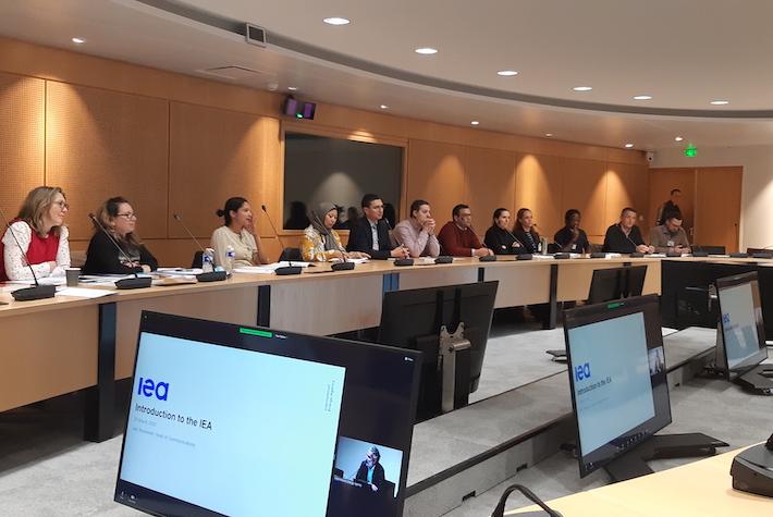 IFP School students visit the IEA
