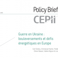Cover of the Policy Brief CEPII