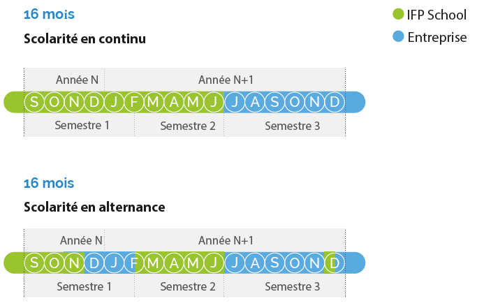 Planning 16 mois
