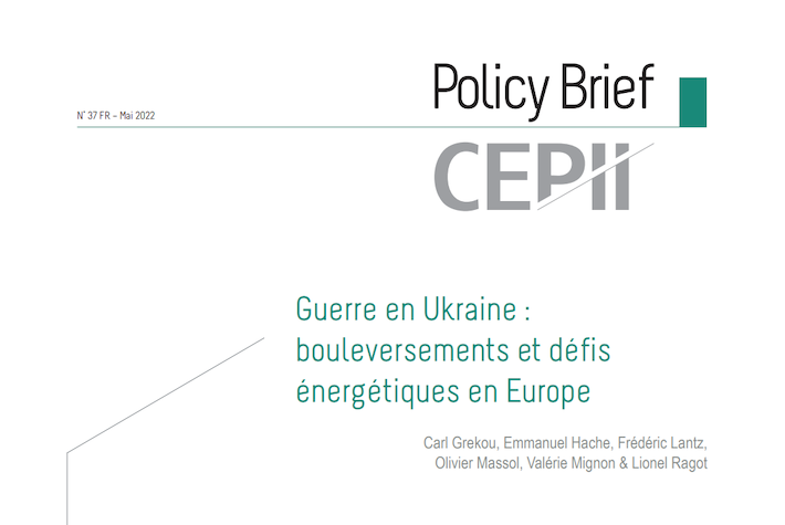 Cover of the Policy Brief CEPII