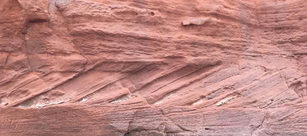 Petroleum Geosciences